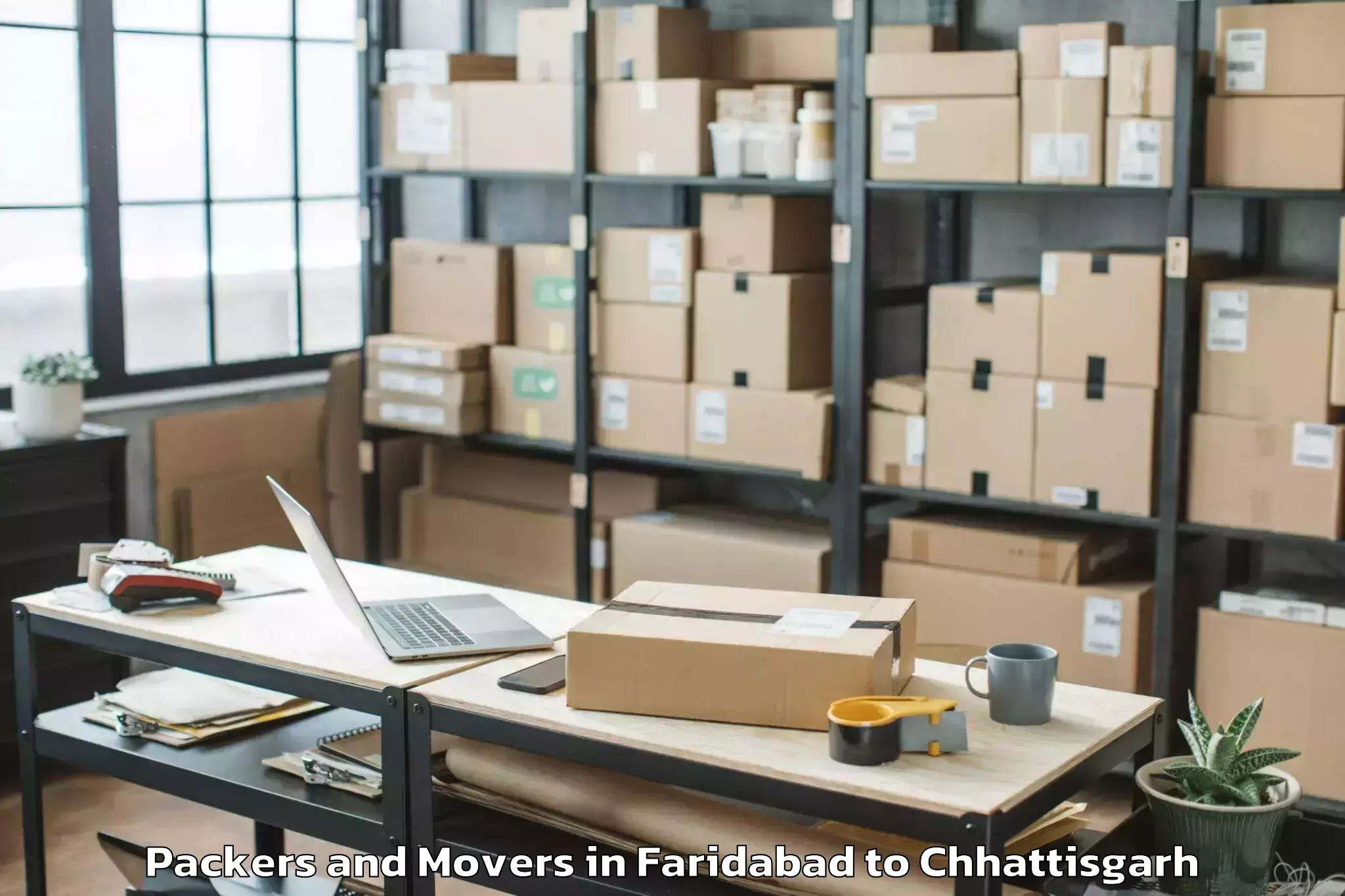 Professional Faridabad to Op Jindal University Raigarh Packers And Movers